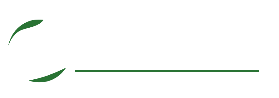 Rápido Well Transportes